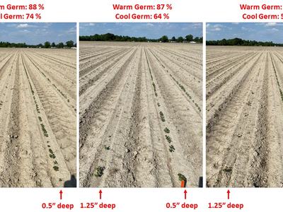 Planting depth chart