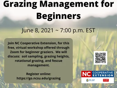 Grazing Management for Beginners