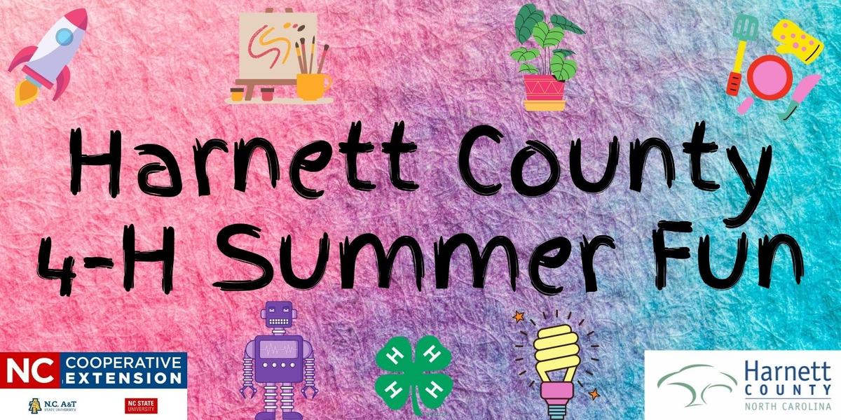 Harnett County 4-H Summer Fun banner with colorful activity icons and extension logos