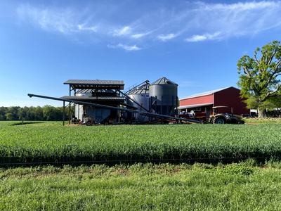 wheat field with grain silo and red barn in background