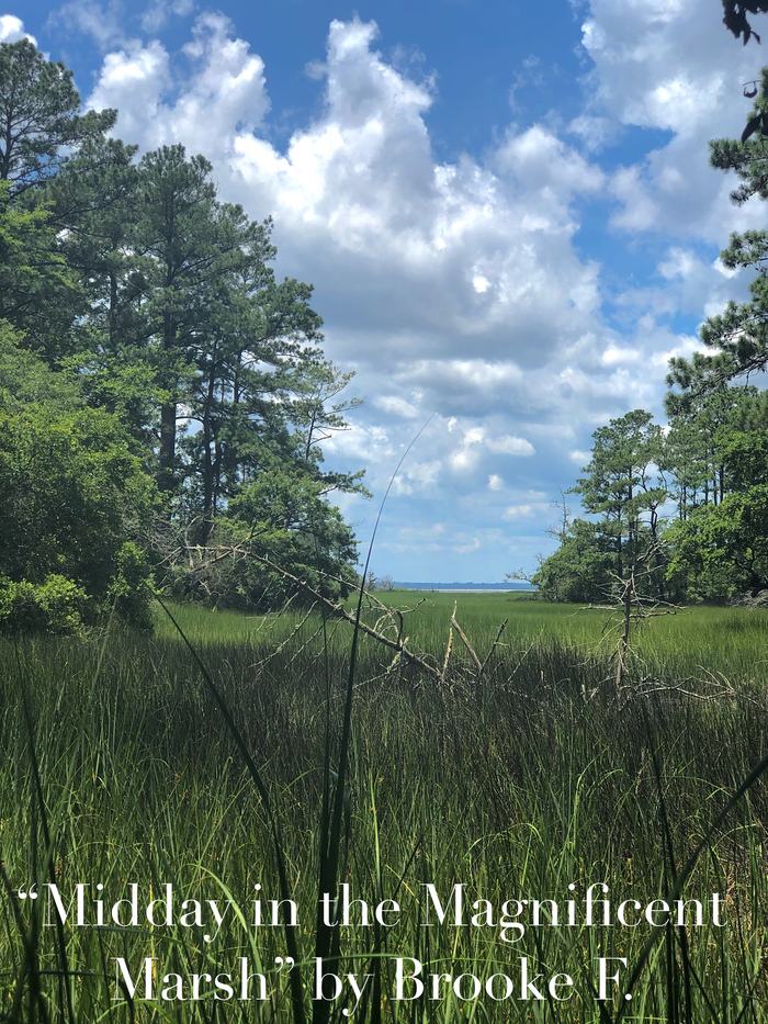 2020 1st place Intermediate Division: Nature's Beauty "Midday in the Magnificent Marsh" taken by Brooke F.