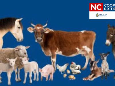 Horse, cow, sheep, goats, pig, chickens, donkey with "NC Cooperative Extension" logo