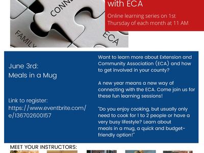 Flyer for Meals in a Mug Program.