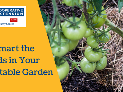 Outsmart the Weeds in Your Vegetable Garden