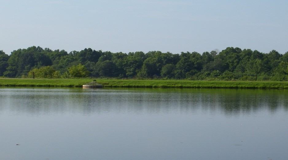 Pond Management