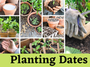Planting Dates Picture