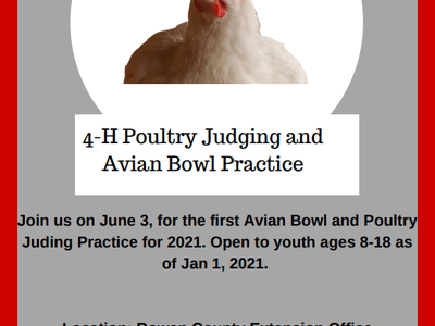 4-H Poultry Judging and Avian Bowl Practice