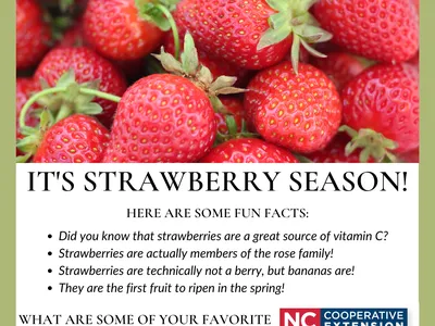 Strawberries
