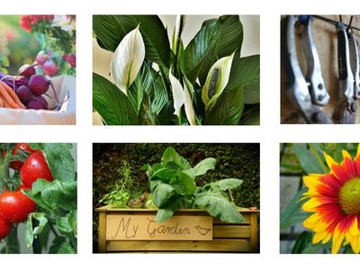 spring 2022 collage