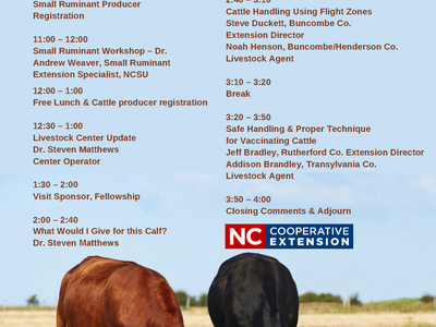 Spring Livestock Update, June 4, 2021, WNC Livestock Center, Canton NC; two cows grazing