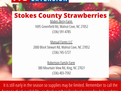 Stokes County Strawberries flyer — lists three farms with addresses and phone numbers