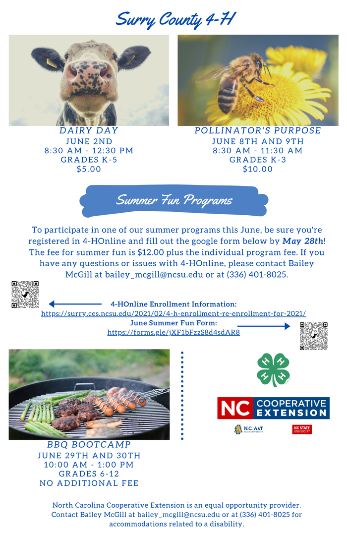 Flier for June Summer Fun