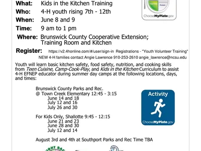 4-H Youth Volunteer Training Flyer. Rising 7th to 12th graders. June 8th and 9th at Brunswick County Cooperative Extension. Register at 4-H Online. Call or email Angie Lawrence for more information.