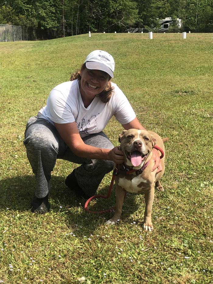 Volunteer and Dog