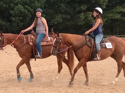 4-H Horse clinic