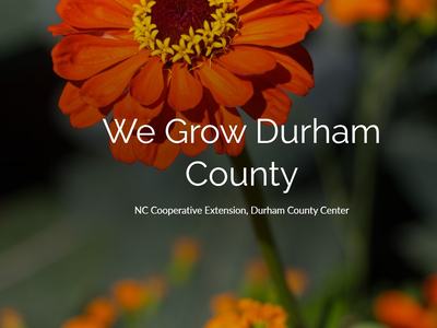 Orange zinnia with overlaid text "We Grow Durham County"