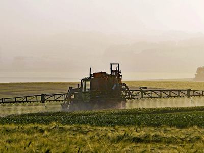 tractor on field of crops