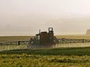 tractor on field of crops