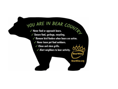 drawing of black bear with BearWise info inside