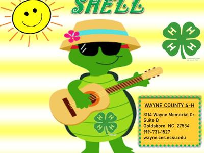 Turtle playing guitar with hat and sunglasses; text "Come Out of Your SHELL" and Wayne County 4-H