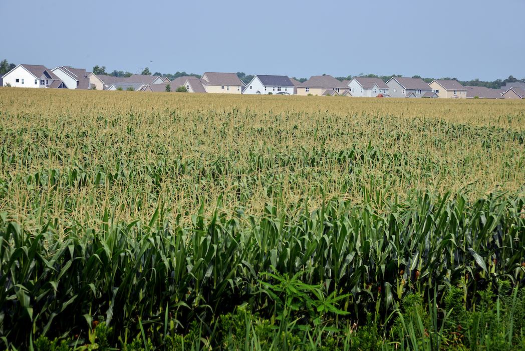 Homes bordering farmland