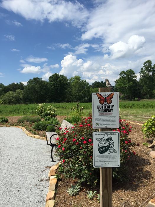 Flat Rock Park Pollinator Garden and Meadows