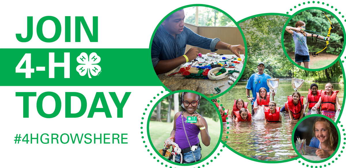Various 4-H activities