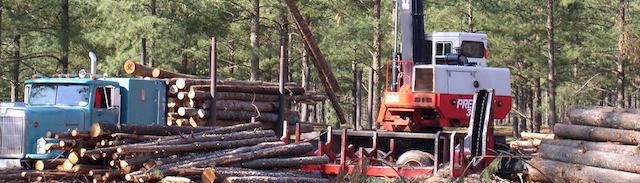 Loader loading logs onto log truck