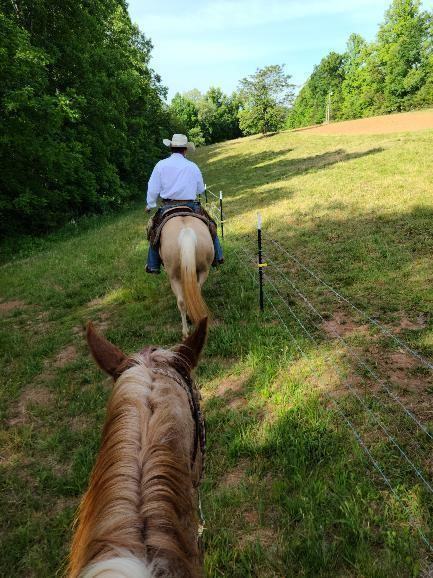 Man on horse by a fence