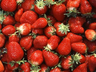 Top view of several dozen fresh strawberries