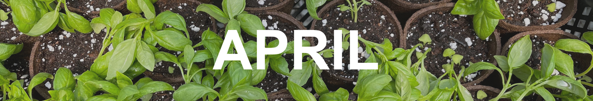 We Grow Union County April 2021