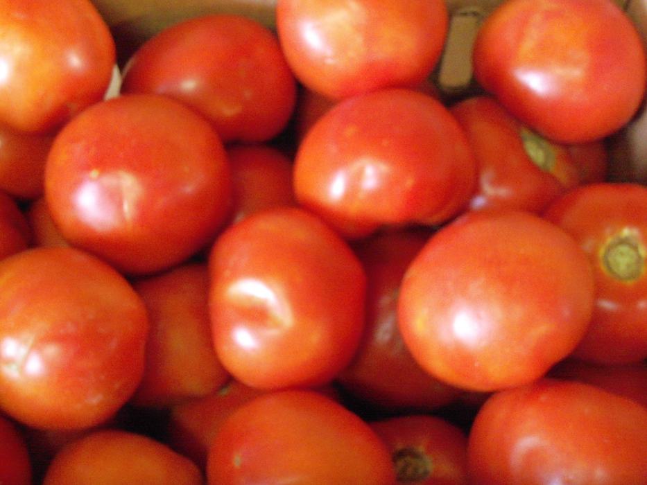 tomatoes