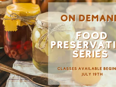 jars of home canned foods advertising Food Preservation series