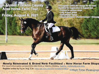 woman riding on a horse