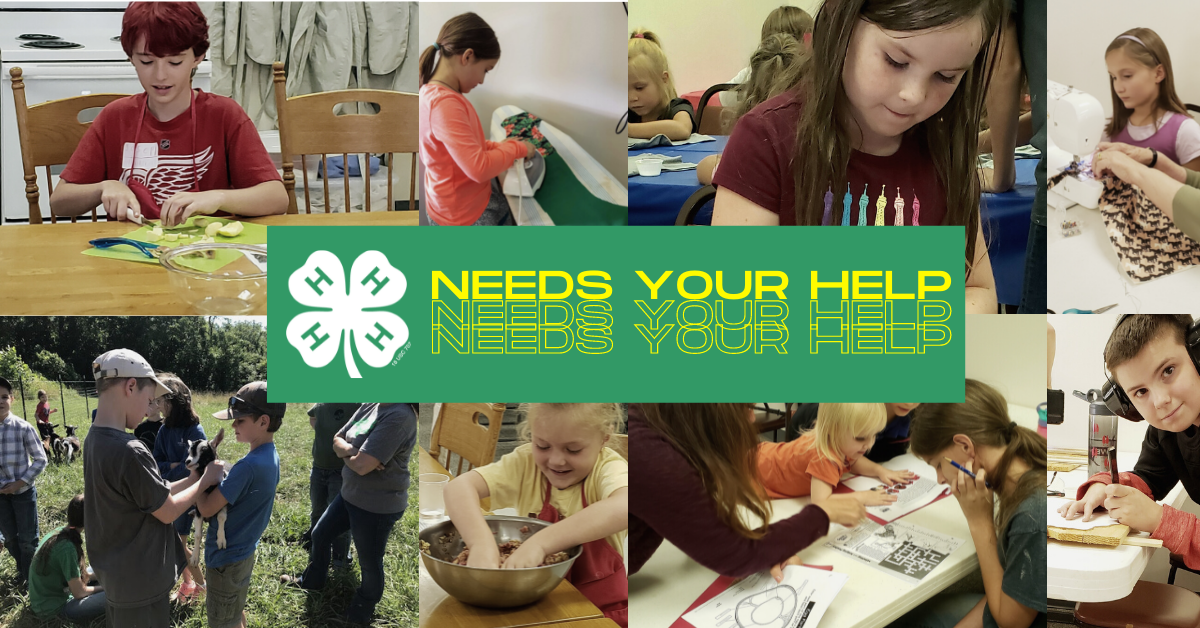 Volunteer with Polk County 4-H