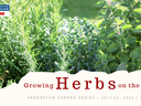 Green herb plants; text "Growing Herbs on the OBX" and "July 21, 2021 | 11:00 AM"