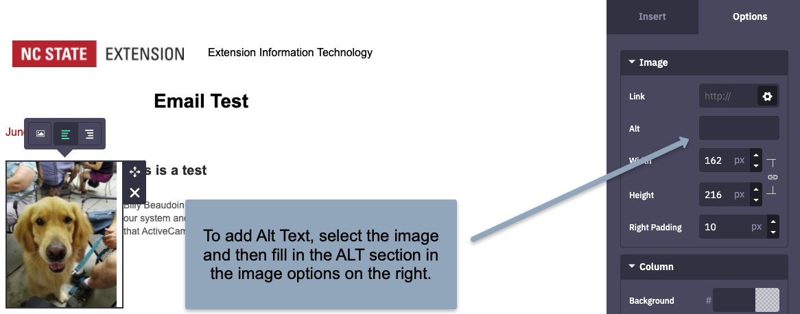 ActiveCampaign image options