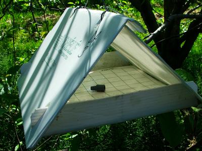 Codling moth trap