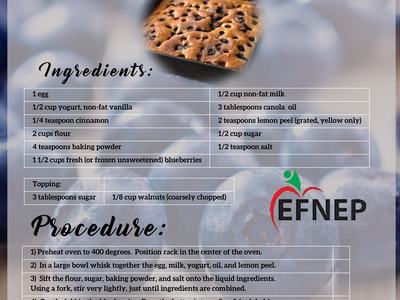 Blueberry Coffee Cake