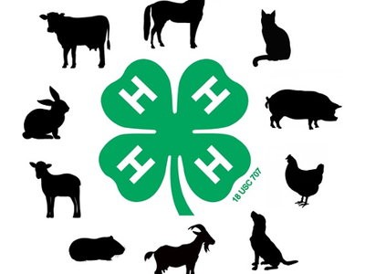 Green 4-leaf 4-H clover with H on each leaf surrounded by farm animal silhouettes; text "18 USC 707"