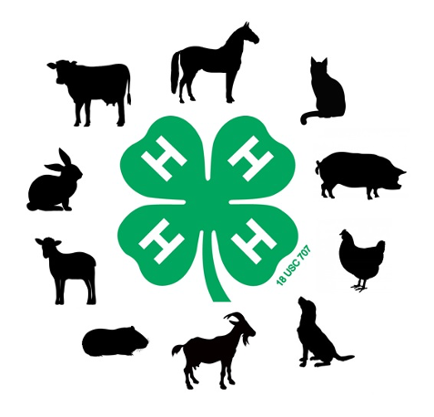 4-H clover logo