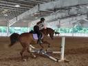 Rider jumping a chestnut horse over a low pole in an indoor riding arena
