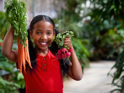 Girl holding bunches of carrots and radishes in a garden