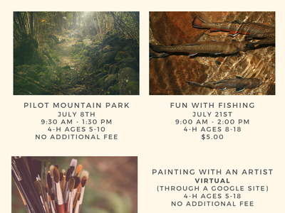 Sign up for July Summer Fun programs here: https://go.ncsu.edu/surry4hsummerfun