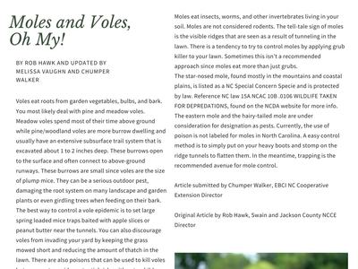 Moles and Voles, Oh My!   — Written By Rob Hawk and updated by Melissa Vaughn and Chumper Walker   Woodland or Pine Vole   rodent   Voles eat roots from garden vegetables, bulbs, and bark. You most likely deal with pine and meadow voles. Meadow voles spen