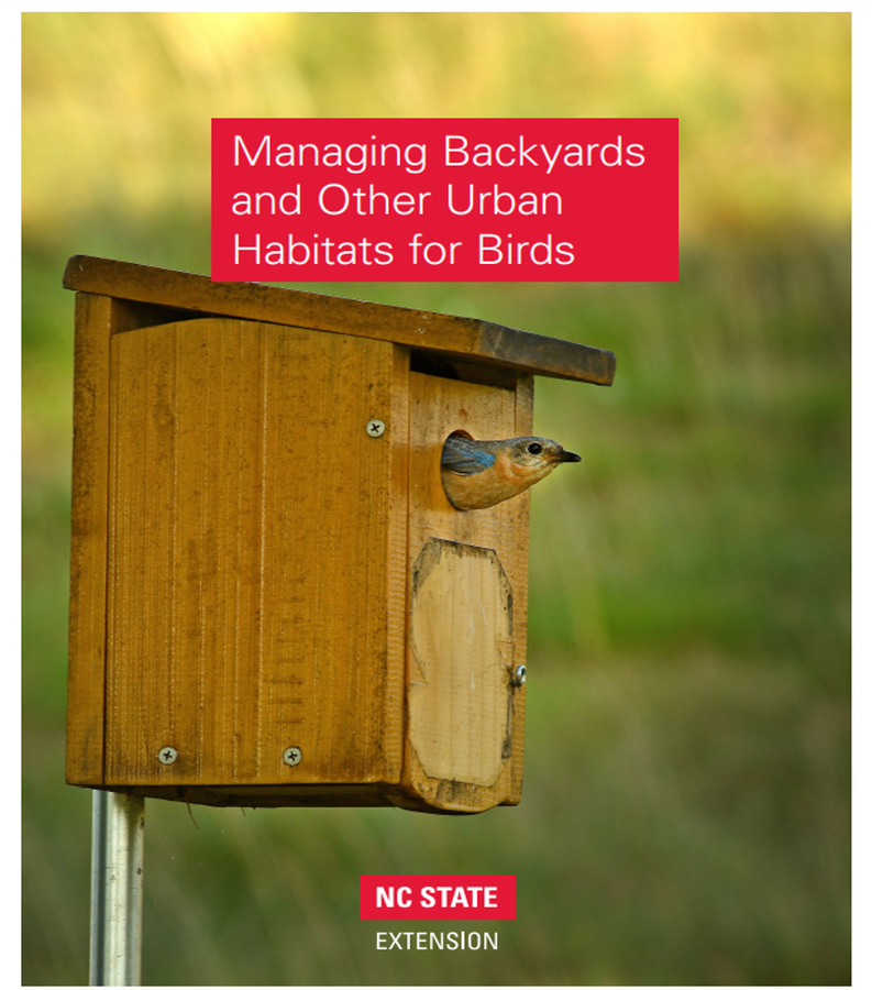 Bird looking out of a birdhouse
