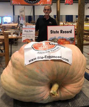 Man with large pumpkin