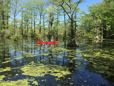 pond with canoe