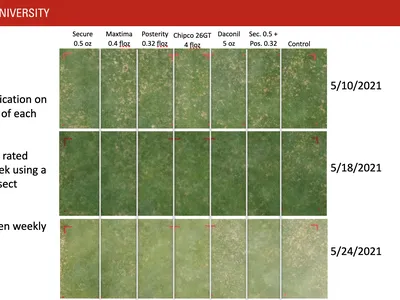 Turf treatment grid: Secure, Maxtima, Posterity, Chipco26GT, Daconil, Sec.+Pos., Control — photos 5/10, 5/18, 5/24/2021