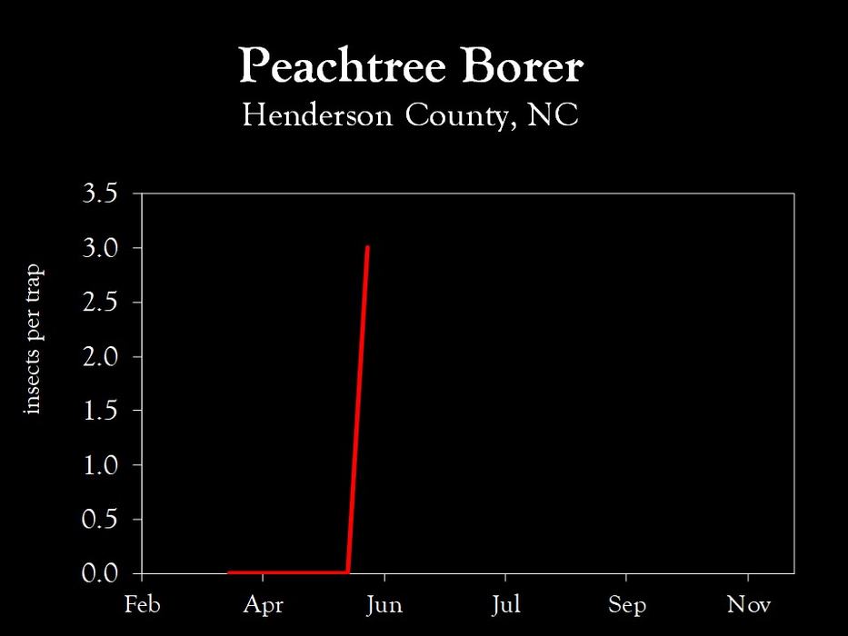 Chart showing insect population trends